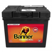Batterie BANNER Starting Bull 53030 12V 30Ah