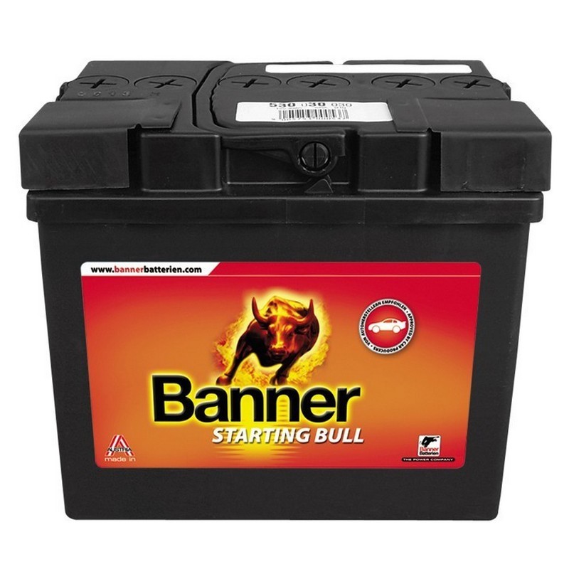 Batterie BANNER Starting Bull 53030 12V 30Ah - Piles et Batteries